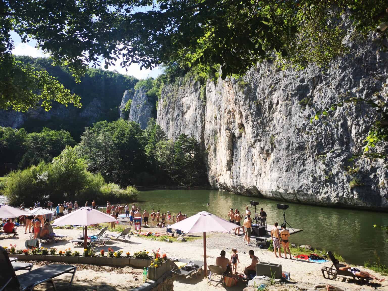 Șuncuiuș